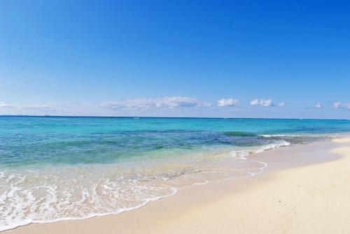 Beach Resort Morimar - Dining Experiences