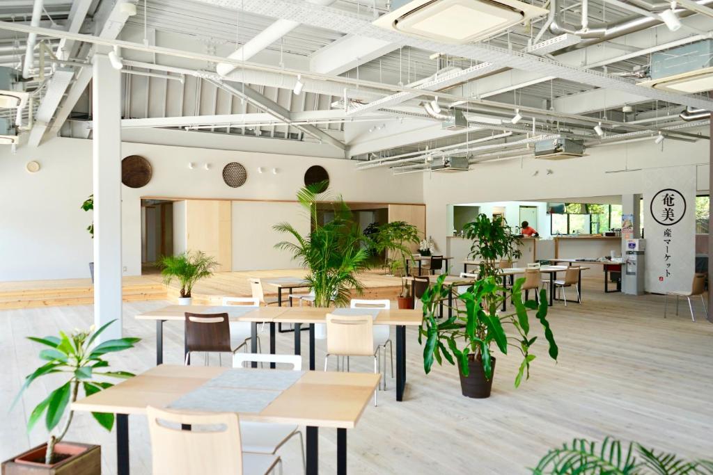 Denpaku Akakina Hotel Review