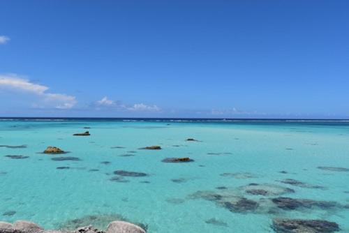 Hotel South Island - Hotel Overview