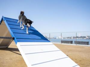 Izumigo Lank Hamanako Dog Paradise Hotel - Hotel Overview