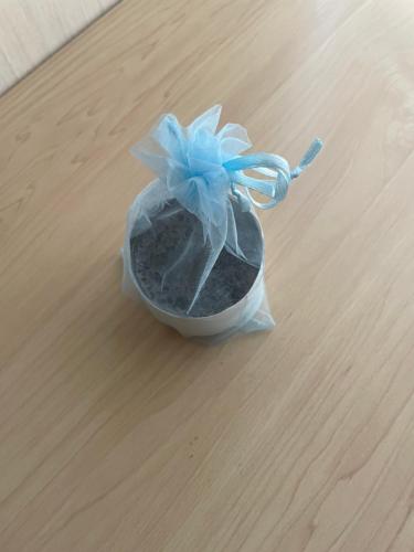 Kami House - Property Overview