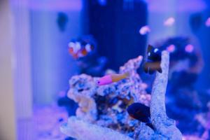 Kanazawa Station Hotel - Exceptional Amenities and Services