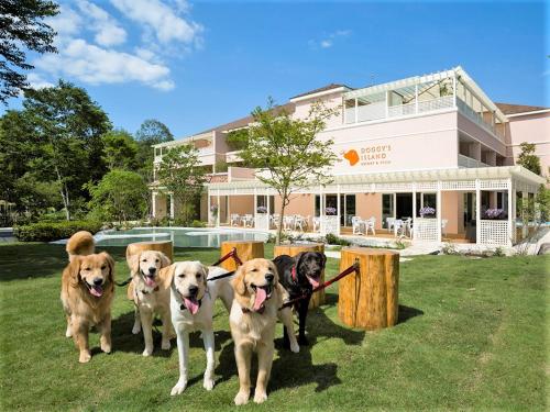 Koyaru-no-sato Doggys Island - Overview and Location