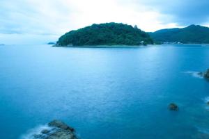 MISAKI TERRACE - Accommodation Features