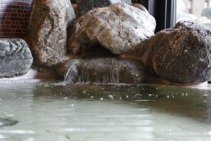 Natural Hot Spring Shoun No Yu Dormy Inn Kofu Marunouchi - Hotel Overview and Location