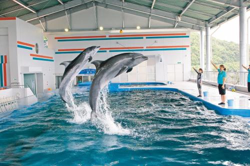 Shibushiwan Daikoku Resort Hotel - Accommodation Details