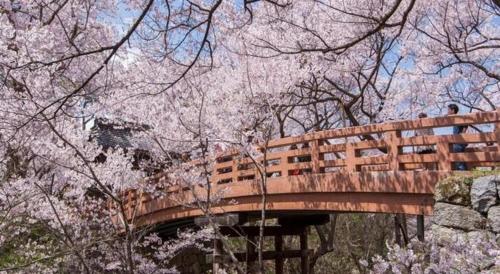 Takato Sakura Hotel - Hotel Overview