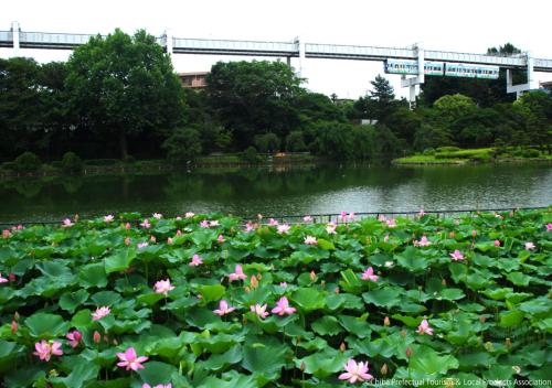 APA Hotel Chiba Ekimae - Japanese and European Cuisine On-Site