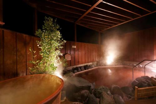 Art Hotel Narita - Facilities and Services