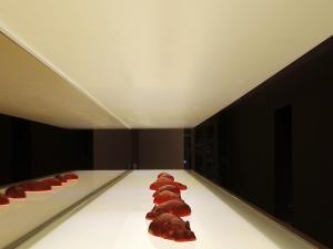 Hakata Green Hotel Annex - Amenities and Features