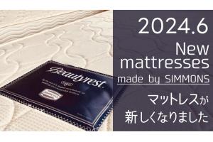Henn Na Hotel Maihama Tokyo Bay - Amenities and Services