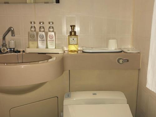 Hotel Ikeda - Room Amenities
