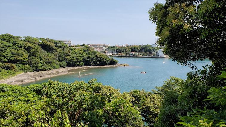 Miura Accommodation Guide: 2 Hotels You Can’t Miss