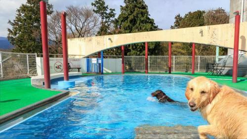 Izukogen Wanwan Paradise Condominium - Booking and Policies