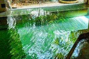 Pet & Spa Hotel Izukogen - Accommodations and Room Types