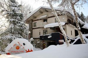 Phoenix Hotel by Hakuba Hospitality Group - Accommodation and Amenities