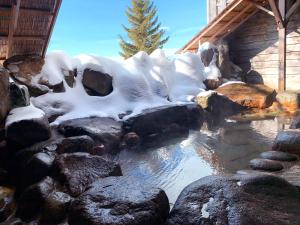 Shiga Swiss Inn - Amenities and Services