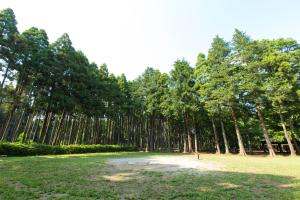 Showa Forest Village - Accommodation Options