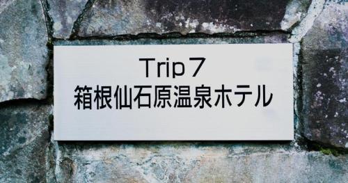 Trip7 Hakone Sengokuhara Onsen Hotel - Accommodations