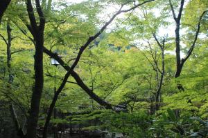 Arima Onsen Koki - Staff Assistance and Hospitality