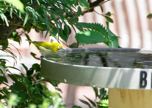 BIRD HOTEL - Amenities and Facilities