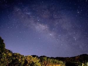 Do You Know? - Special Activities Offered