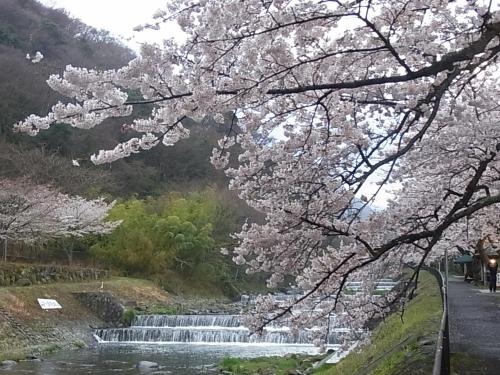Hakone Highland Hotel Review