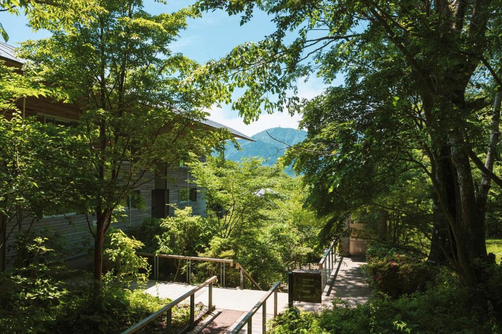 Hakone Retreat Before Review