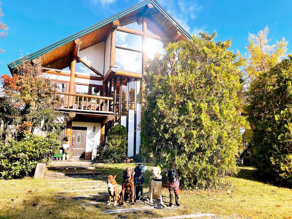 Hakuba Log Hotel Meteor - Guest Ratings and Reviews