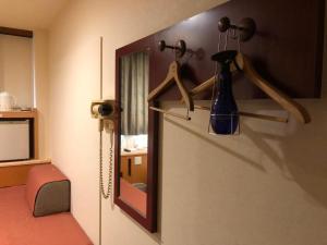 Hotel Ikeda - Accommodation Options