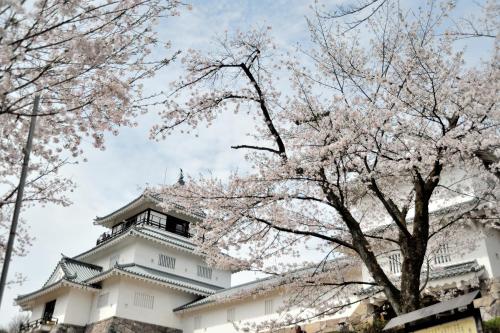 Hotel New Otani Nagaoka - Accommodation Options
