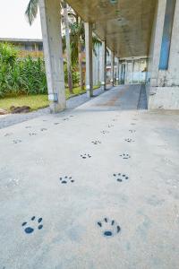 Iriomotejima-Jungle Hotel Painumaya - Accommodation Features