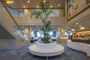 Izumigo Toba Dog Paradise Hotel - Nearby Attractions