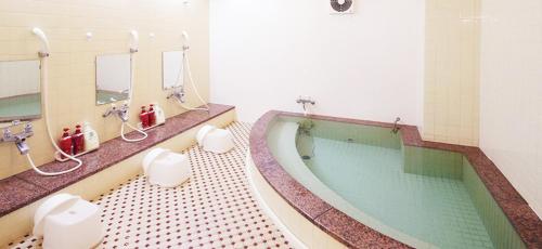 Leo Plaza Hotel - Accommodation Features