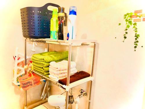 Nikko Dream House - Property Overview