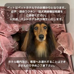 Platanus Hotel Shin-Yokohama - Accommodation Details