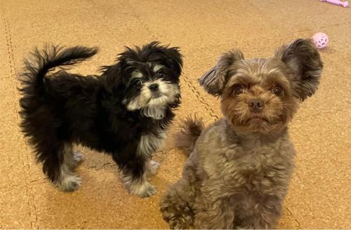 THE LANG HOTEL Hakata - COVID-19 Safety Measures