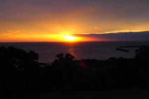 Yakushima Green Hotel - Room Types and Amenities