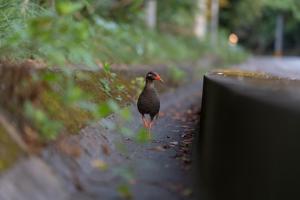 Ada Garden Hotel Okinawa - Nearby Attractions
