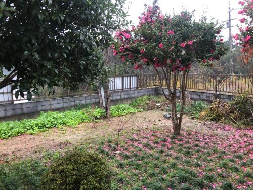 Apple Source Stream - Getting to the Hotel