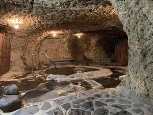 Breezbay Shuzenji Hotel - Guest Reviews
