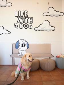 Doggys Izujogasaki - Value for Money