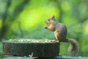 Guesthouse Kreutzer - Frequently Asked Questions