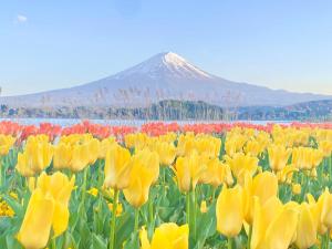 HAOSTAY Kawaguchiko Museum前. - Getting to the Hotel