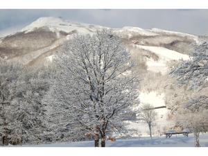 Heidihof Hotel - Guest Reviews and Ratings