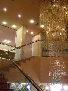 Ichikawa Grand Hotel - Amenities and Services