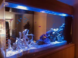 Kanazawa Station Hotel - Dining Options at the Hotel