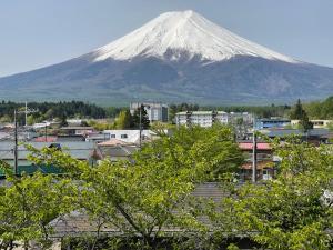 Megu Fuji 2021 - Accessibility and Policies