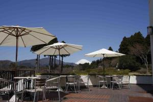 Odakyu Hotel De Yama - Spa and Hot Spring Facilities