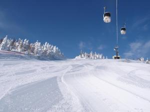 Okushiga Kogen Hotel - Family-Friendly Services